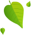 Copusan - Aceitunas Naturales y Artesanas &ndash; Copusan